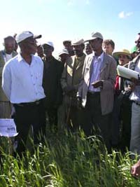 EthiopiaWheattrials